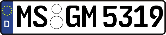 MS-GM5319