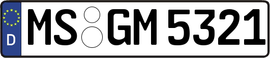 MS-GM5321