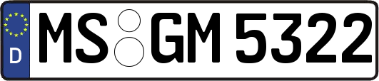 MS-GM5322