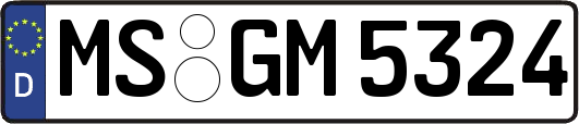MS-GM5324
