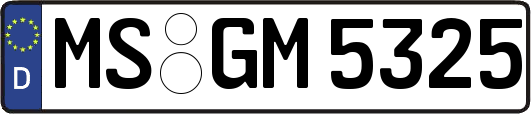 MS-GM5325