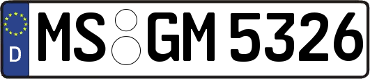 MS-GM5326