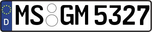 MS-GM5327