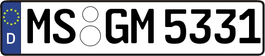 MS-GM5331