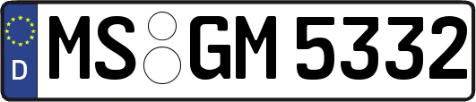 MS-GM5332