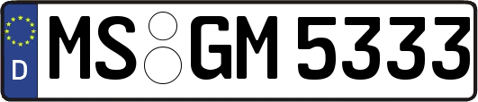 MS-GM5333