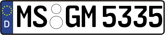 MS-GM5335