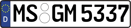 MS-GM5337