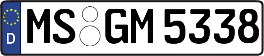 MS-GM5338