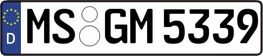 MS-GM5339