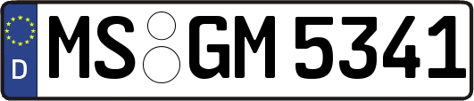 MS-GM5341