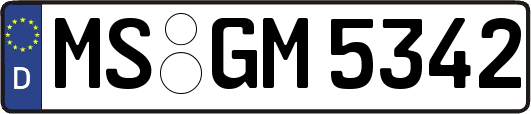 MS-GM5342