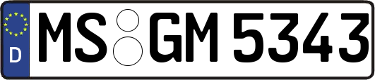 MS-GM5343