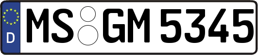 MS-GM5345