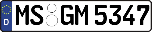 MS-GM5347