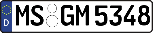 MS-GM5348