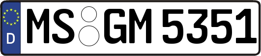MS-GM5351