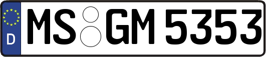 MS-GM5353