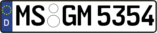 MS-GM5354