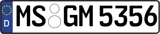 MS-GM5356