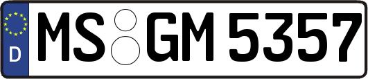 MS-GM5357