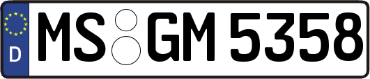 MS-GM5358