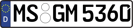 MS-GM5360