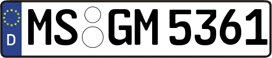 MS-GM5361