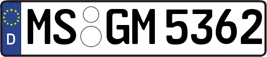 MS-GM5362