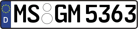 MS-GM5363
