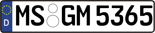 MS-GM5365