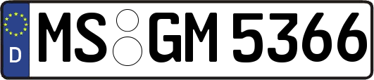 MS-GM5366