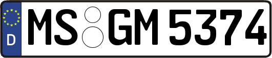 MS-GM5374