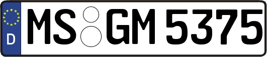 MS-GM5375