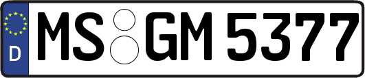 MS-GM5377