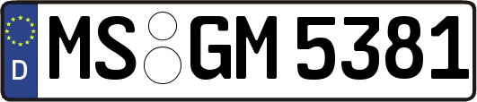 MS-GM5381