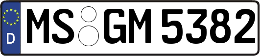 MS-GM5382