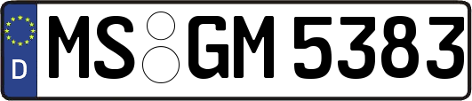 MS-GM5383