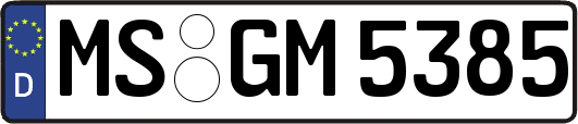MS-GM5385