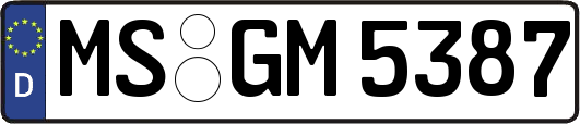 MS-GM5387