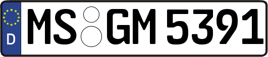 MS-GM5391