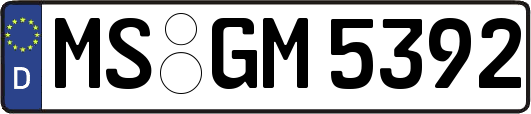 MS-GM5392