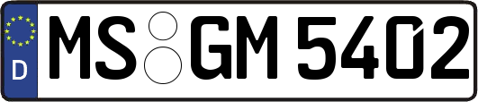 MS-GM5402