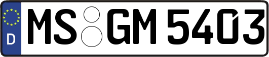MS-GM5403
