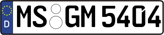 MS-GM5404