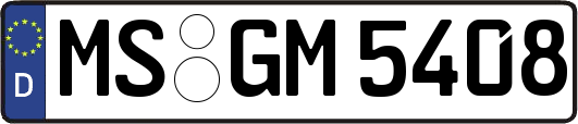 MS-GM5408