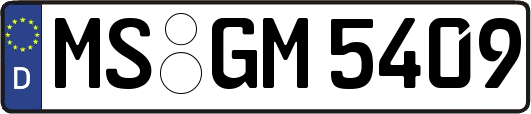 MS-GM5409