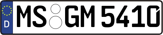 MS-GM5410