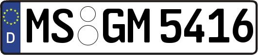 MS-GM5416