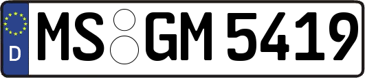 MS-GM5419